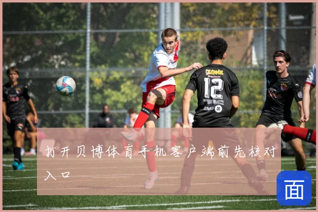 打开贝博体育手机客户端前先核对入口
